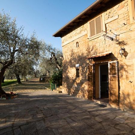Casetta Maduneta Immersa In Un Oliveto Dolceacqua Eksteriør bilde