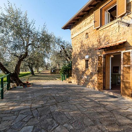 Casetta Maduneta Immersa In Un Oliveto Dolceacqua Eksteriør bilde