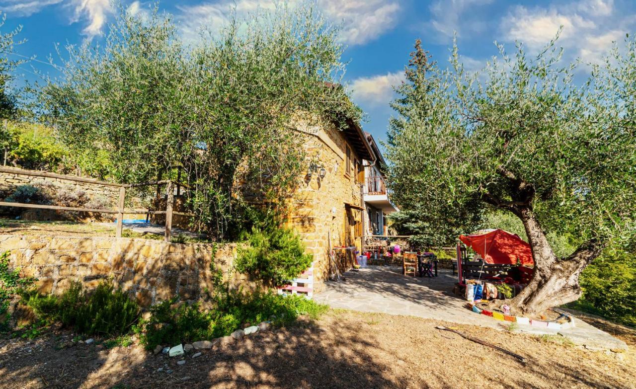 Casetta Maduneta Immersa In Un Oliveto Dolceacqua Eksteriør bilde