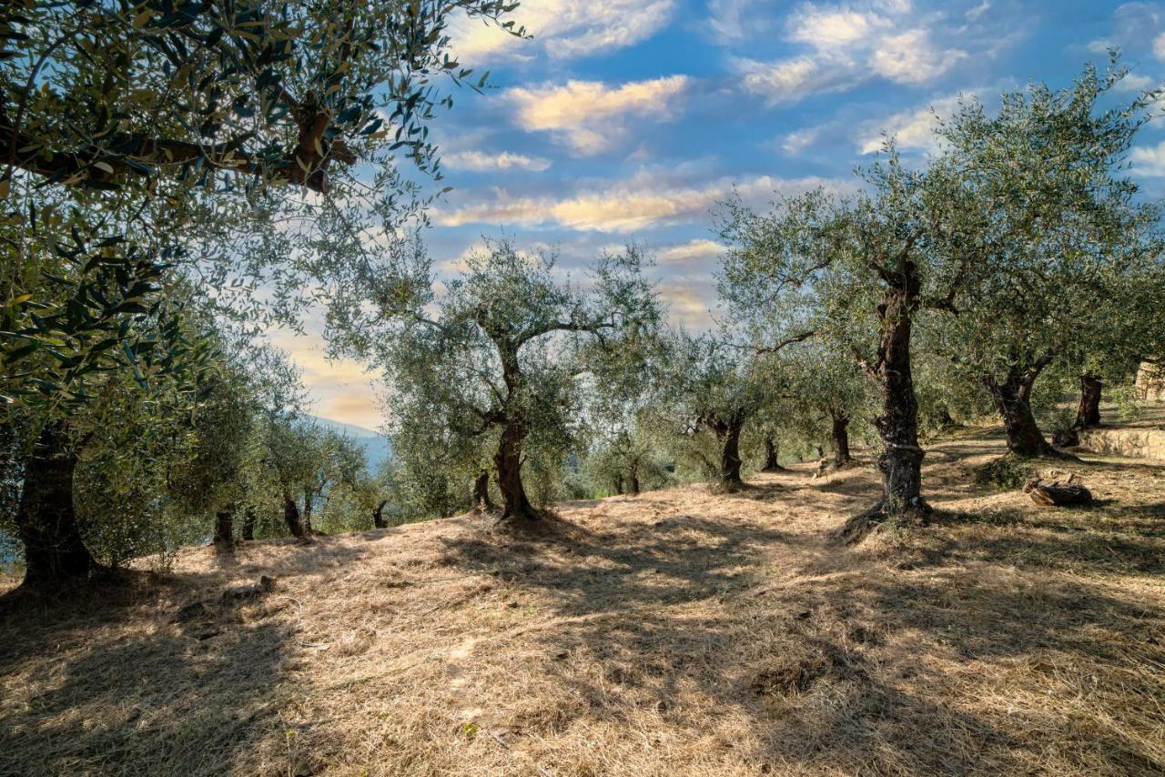 Casetta Maduneta Immersa In Un Oliveto Dolceacqua Eksteriør bilde