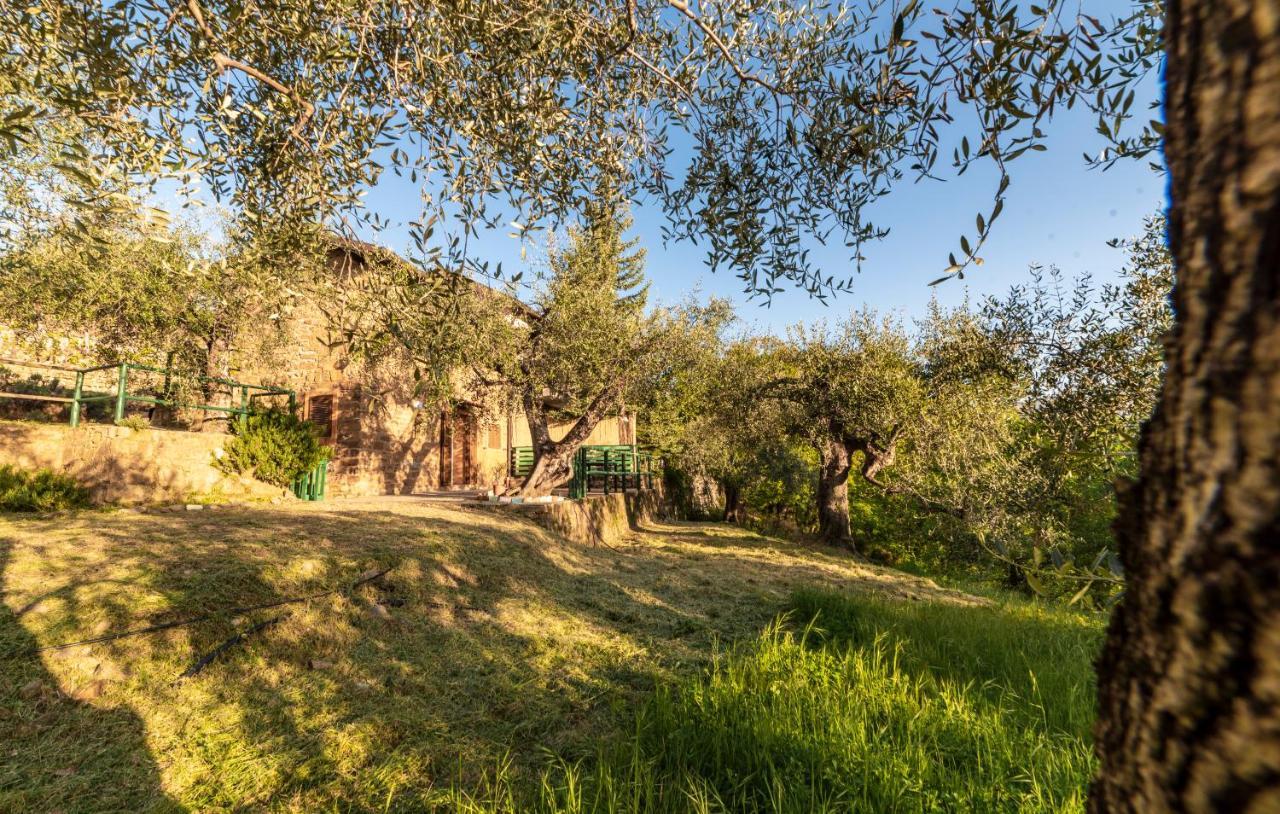 Casetta Maduneta Immersa In Un Oliveto Dolceacqua Eksteriør bilde