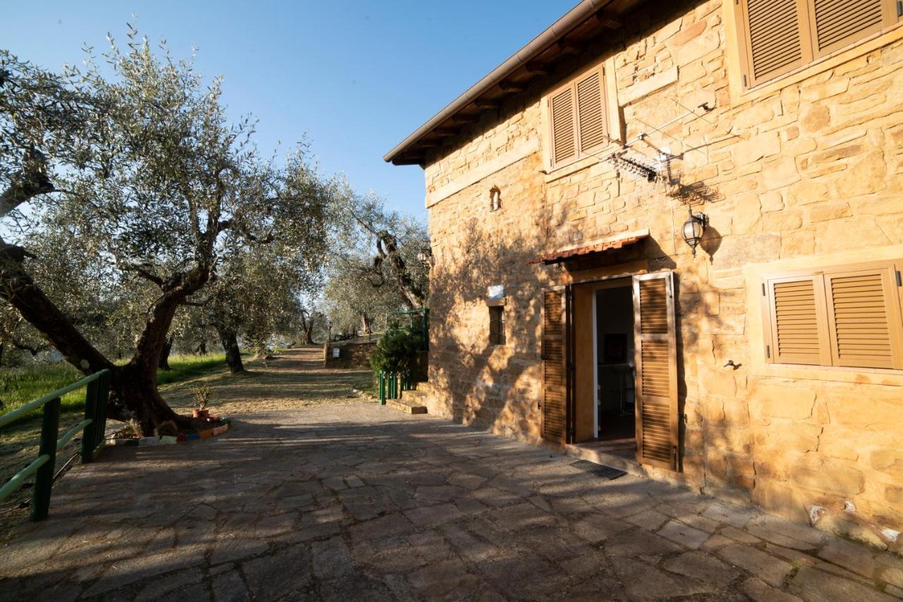 Casetta Maduneta Immersa In Un Oliveto Dolceacqua Eksteriør bilde